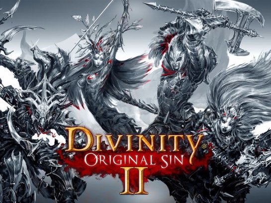 Сбор средств на игру Divinity: Original Sin 2 продолжается