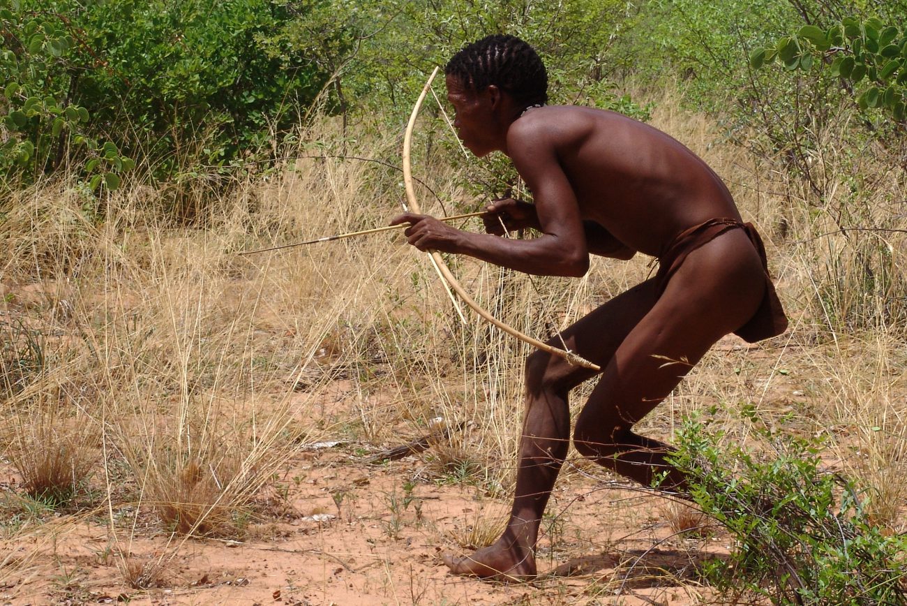 Африканский яд для стрел может стать мужским контрацептивом