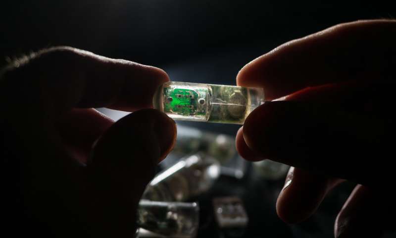 «Бактерии-на-чипе» помогут диагностировать болезнь изнутри