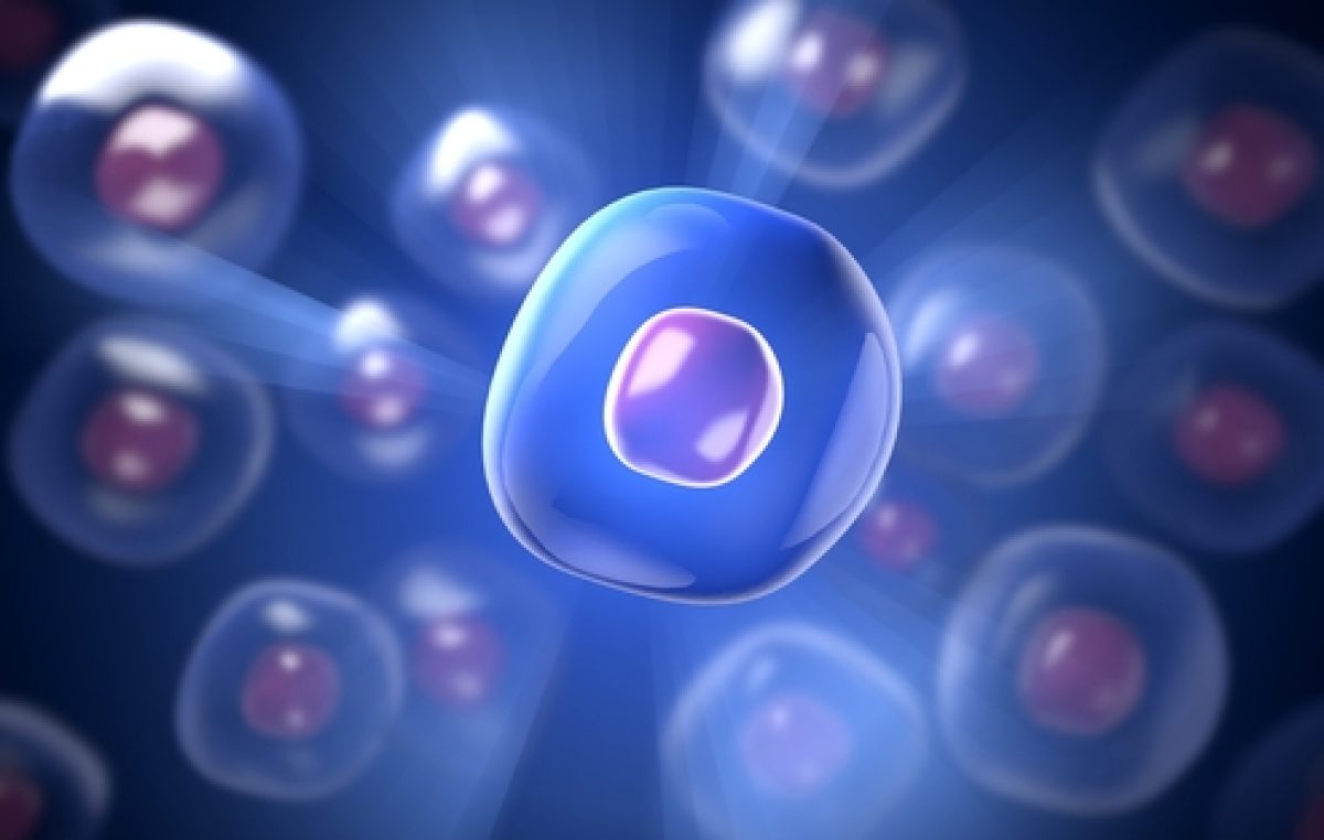 Ученые нашли новый тип клеток. И их форма весьма специфична