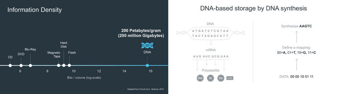 Когда у нас закончится место для хранения цифровых данных, мы будем использовать ДНК
