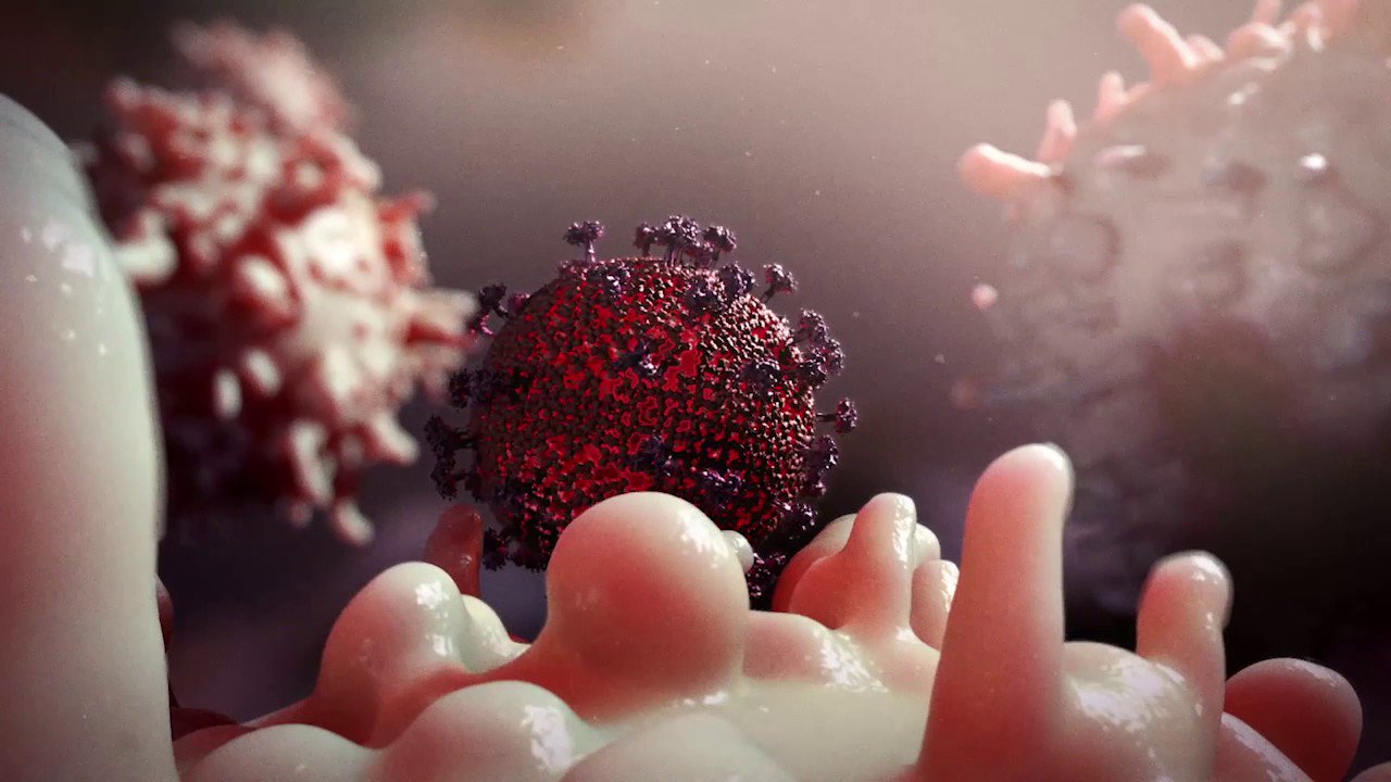 «Забытый» иммуноглобулин эффективно защитил от ВИЧ
