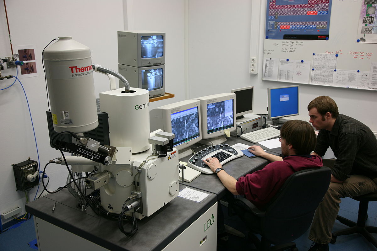 Новый электронный микроскоп позволяет увидеть атомы живых клеток