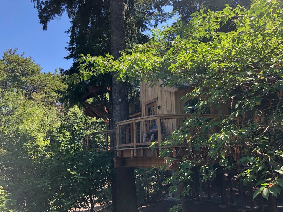 Экскурсия по домикам на деревьях, построенным компанией Microsoft