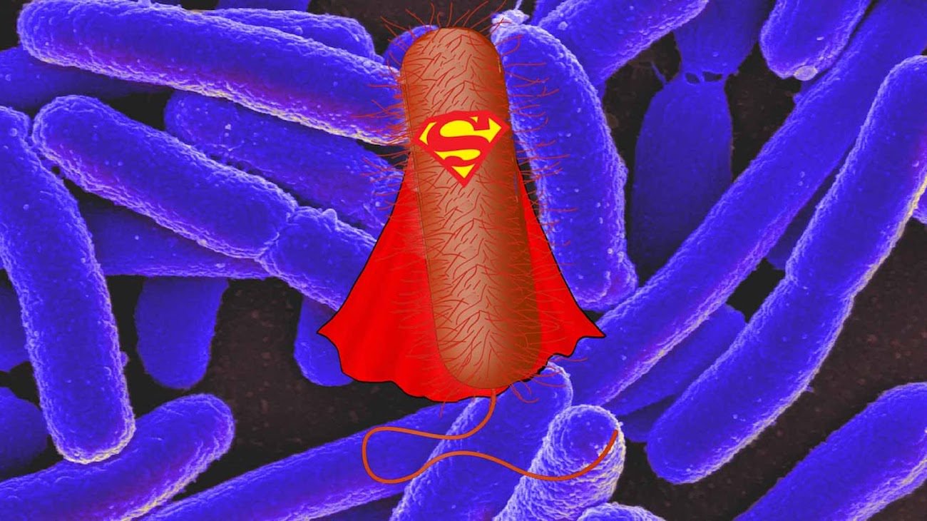 Новый препарат будет бороться с супербактериями как «Троянский конь»