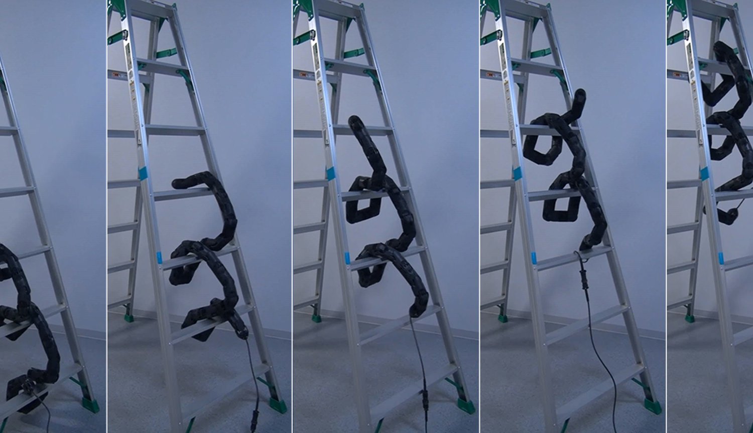 Робот-змея научился взбираться по лестнице