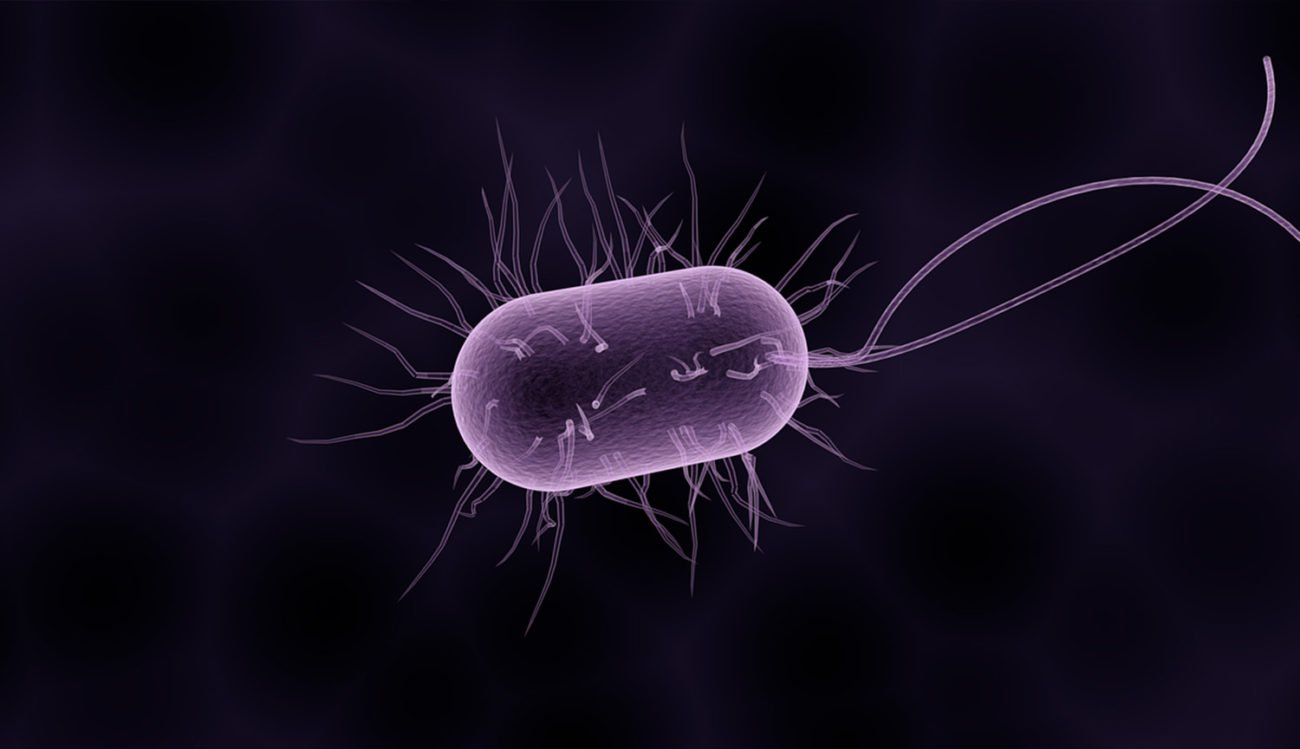 На МКС найдены бактерии, которым не страшны антибиотики