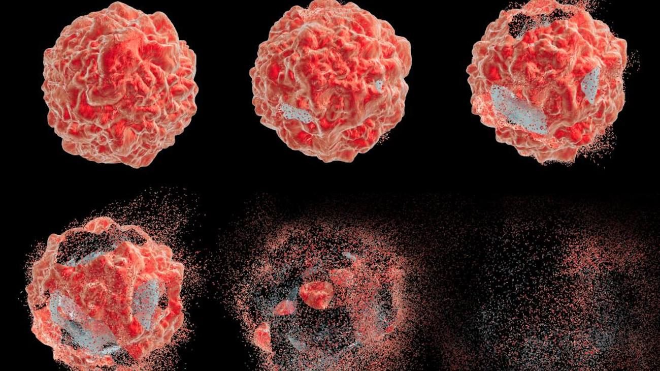 Подтверждено: молекулярный «переключатель» уничтожит раковые клетки без осложнений