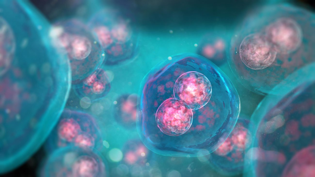 Биологи создали самые совершенные искусственные клетки