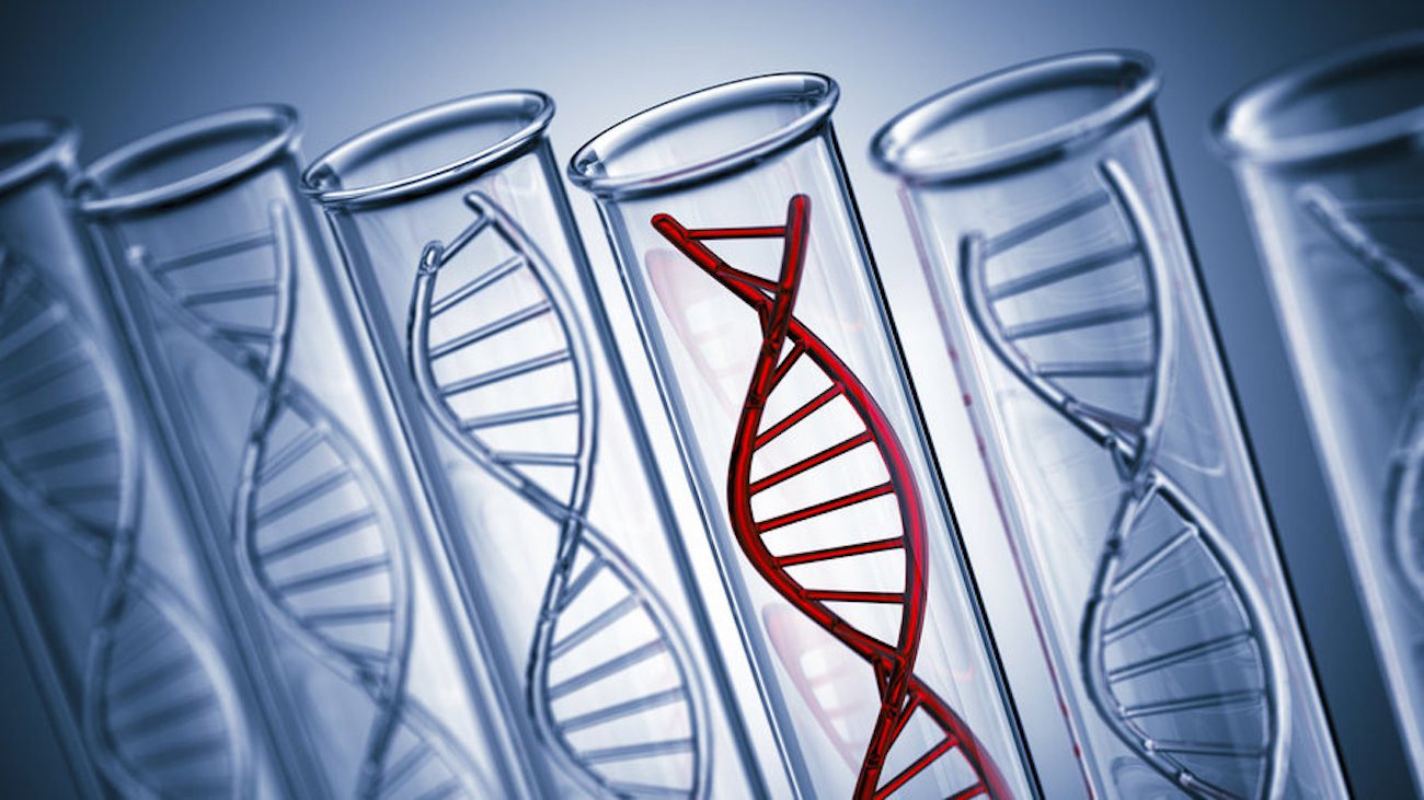 «Мусорная» ДНК оказалась эффективна в борьбе с раком