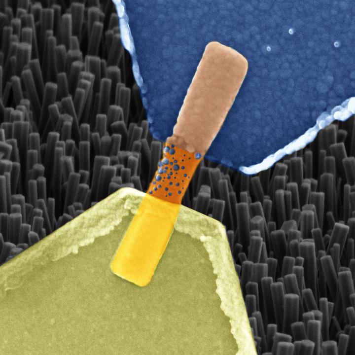 Найден способ создавать искусственные синапсы на основе нанопроводов