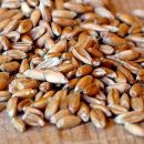 Купить влагомеры для зерна от ООО Vlagomeru – лучшее предложения на рынке